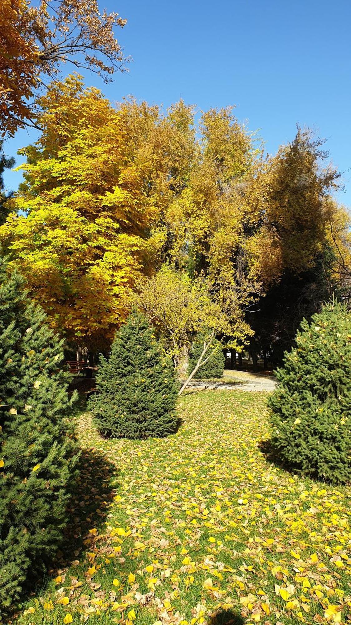 Cosy flat in the city center Apartment Bishkek Luaran gambar